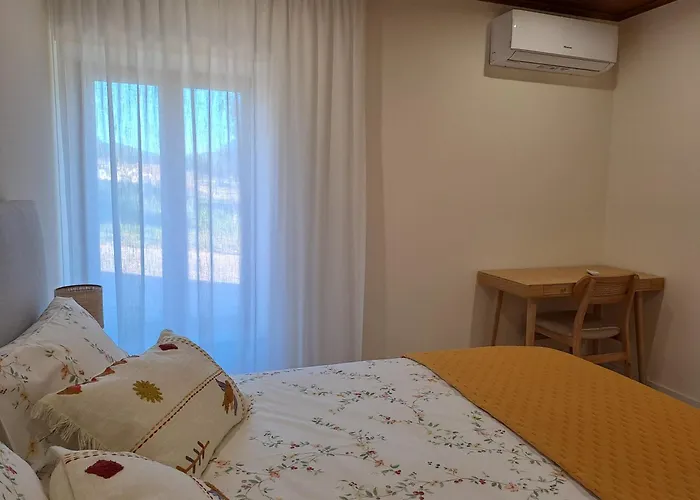 Casa Da Rua Antiga Castelo Branco (Centro)